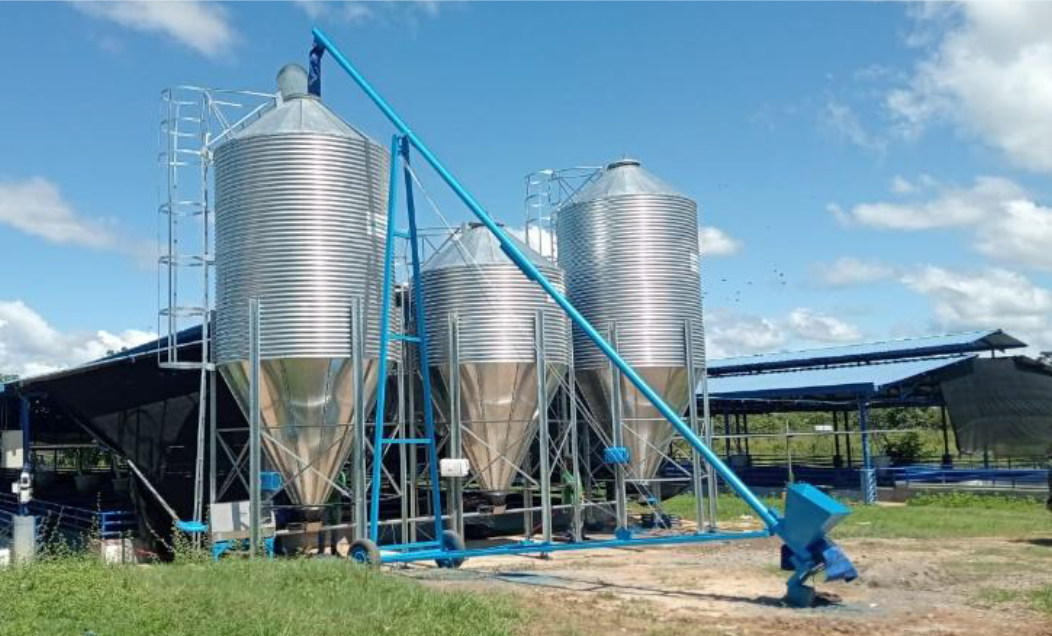Transporte eficiente para silos - 1