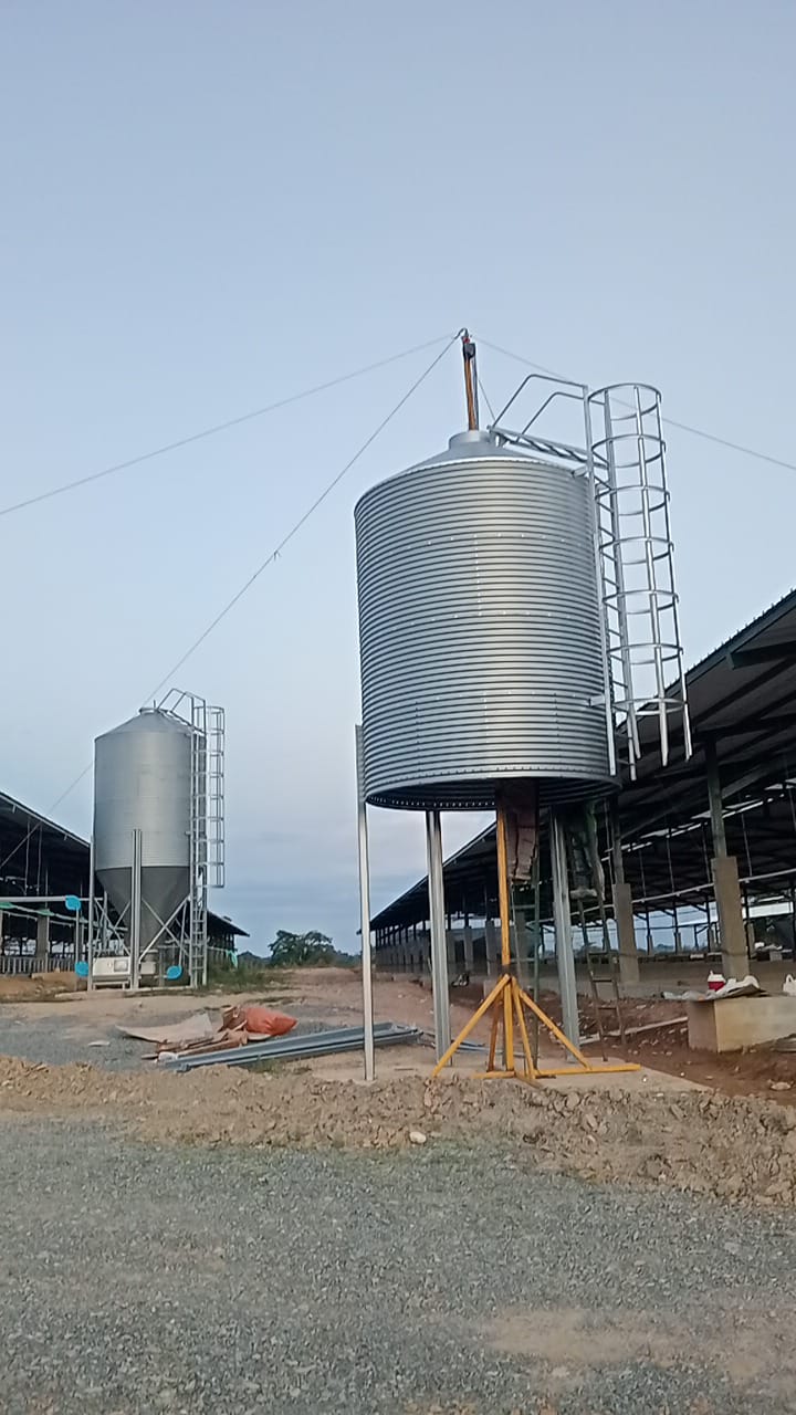 Montaje de silos metálicos sin grúa - 1.3