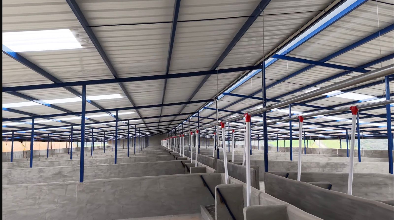 Construcción integral de galpones porcícolas - 5.2