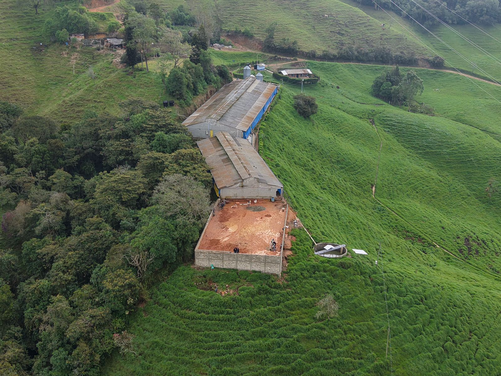 Construcción integral de galpones porcícolas - 5.4