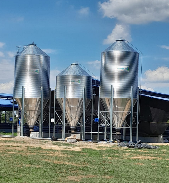 Montaje de silos - 1